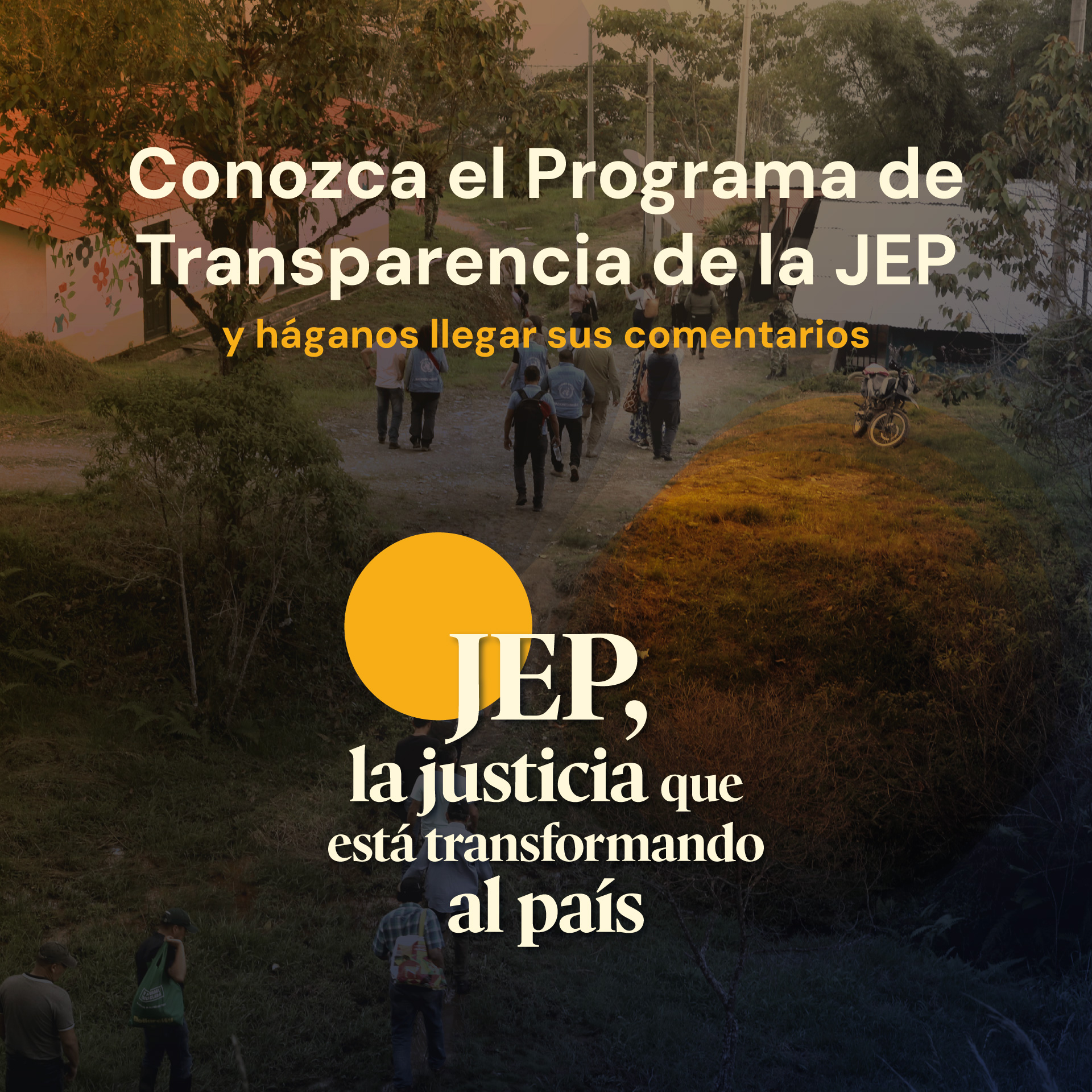 Programa de transparencia y ética pública