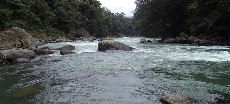 Rio Ñambi.jpg